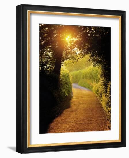 Sunlit Country Lane, Devon, England-Peter Adams-Framed Photographic Print