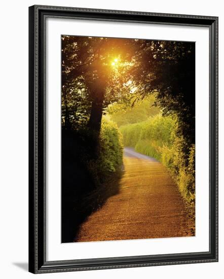 Sunlit Country Lane, Devon, England-Peter Adams-Framed Photographic Print