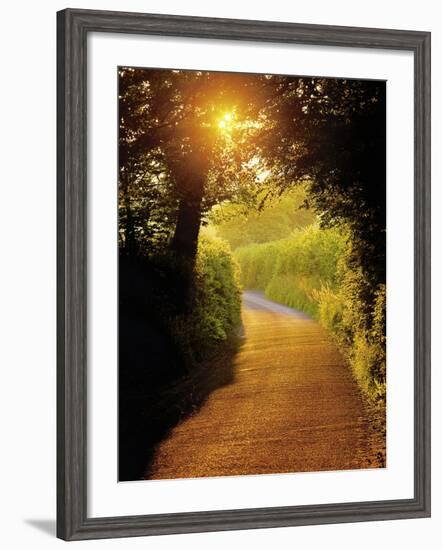 Sunlit Country Lane, Devon, England-Peter Adams-Framed Photographic Print