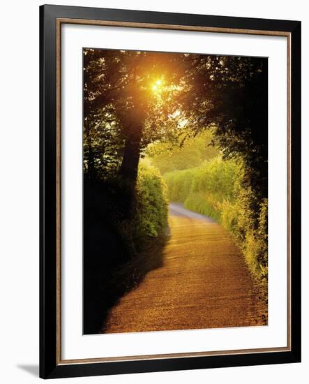 Sunlit Country Lane, Devon, England-Peter Adams-Framed Photographic Print