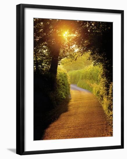 Sunlit Country Lane, Devon, England-Peter Adams-Framed Photographic Print