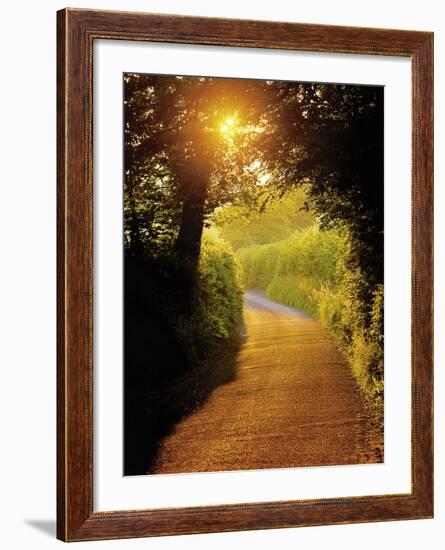 Sunlit Country Lane, Devon, England-Peter Adams-Framed Photographic Print
