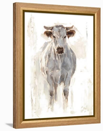 Sunlit Cows I-Danita Delimont-Framed Stretched Canvas