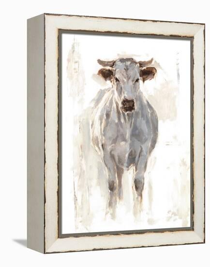 Sunlit Cows I-Danita Delimont-Framed Stretched Canvas