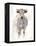 Sunlit Cows I-Danita Delimont-Framed Stretched Canvas