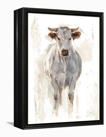 Sunlit Cows I-Danita Delimont-Framed Stretched Canvas