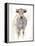 Sunlit Cows I-Danita Delimont-Framed Stretched Canvas