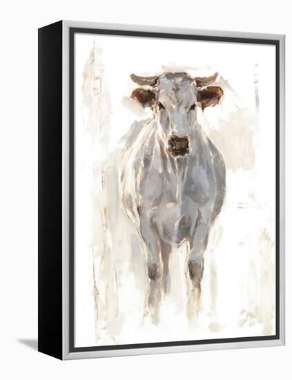 Sunlit Cows I-Danita Delimont-Framed Stretched Canvas