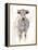 Sunlit Cows I-Danita Delimont-Framed Stretched Canvas