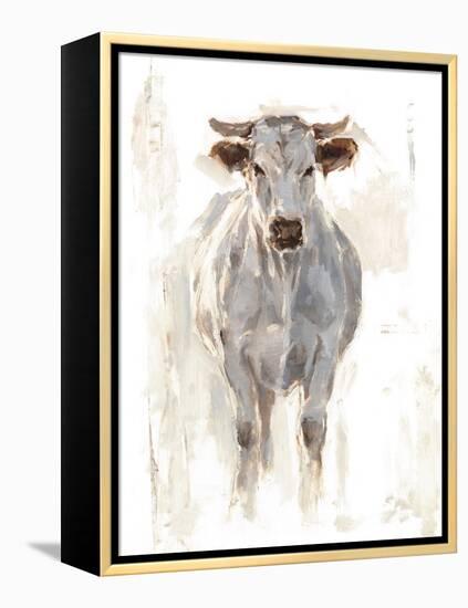 Sunlit Cows I-Danita Delimont-Framed Stretched Canvas