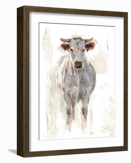 Sunlit Cows I-Danita Delimont-Framed Art Print