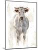 Sunlit Cows I-Danita Delimont-Mounted Art Print