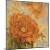 Sunlit Flowers I-Philip Brown-Mounted Giclee Print