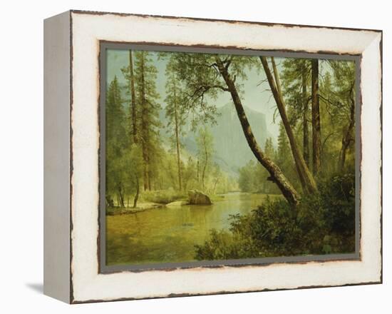 Sunlit Forest-Albert Bierstadt-Framed Premier Image Canvas