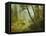 Sunlit Forest-Albert Bierstadt-Framed Premier Image Canvas