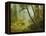 Sunlit Forest-Albert Bierstadt-Framed Premier Image Canvas