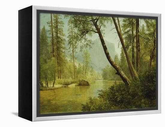 Sunlit Forest-Albert Bierstadt-Framed Premier Image Canvas