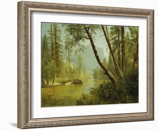 Sunlit Forest-Albert Bierstadt-Framed Giclee Print