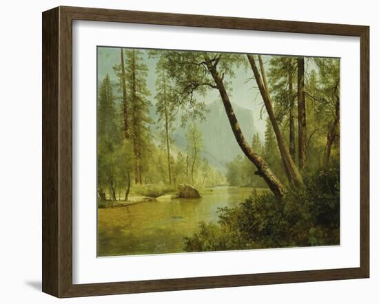 Sunlit Forest-Albert Bierstadt-Framed Giclee Print