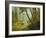 Sunlit Forest-Albert Bierstadt-Framed Giclee Print