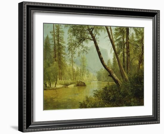 Sunlit Forest-Albert Bierstadt-Framed Giclee Print