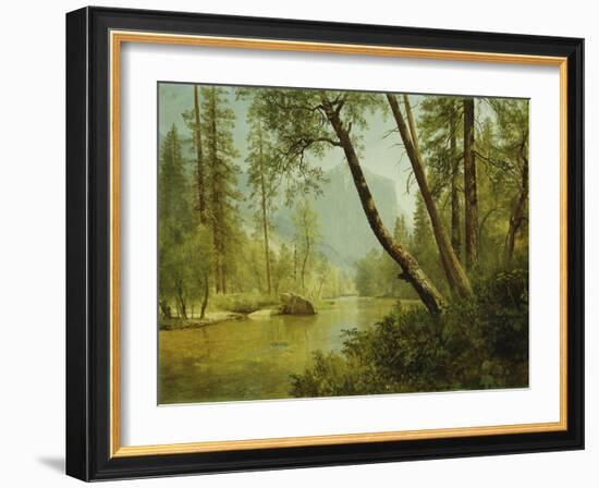 Sunlit Forest-Albert Bierstadt-Framed Giclee Print