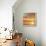 Sunlit I-John Seba-Framed Stretched Canvas displayed on a wall