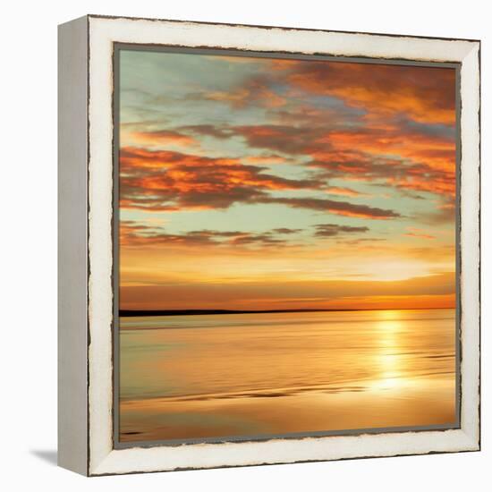 Sunlit I-John Seba-Framed Stretched Canvas