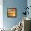 Sunlit I-John Seba-Framed Stretched Canvas displayed on a wall