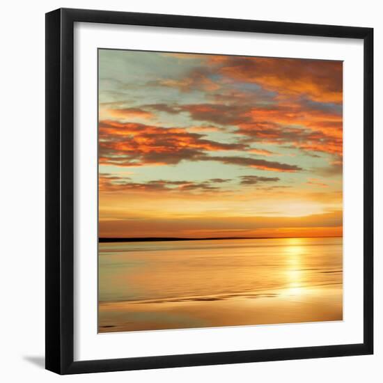 Sunlit I-John Seba-Framed Art Print