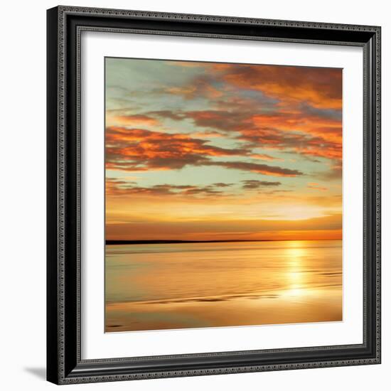 Sunlit I-John Seba-Framed Art Print