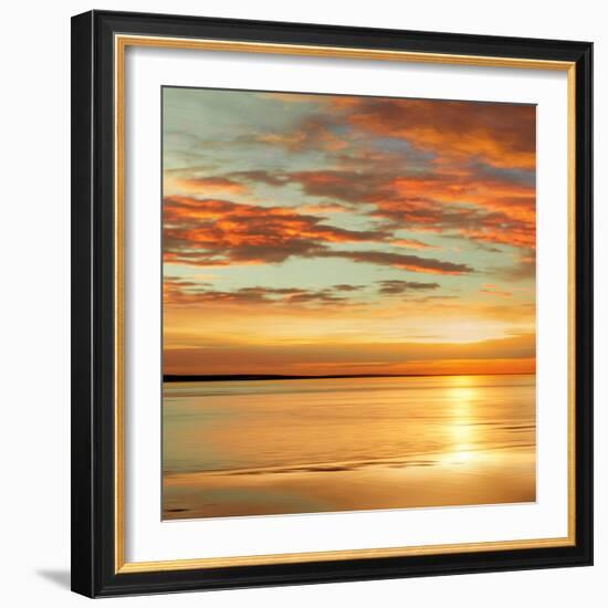 Sunlit I-John Seba-Framed Art Print