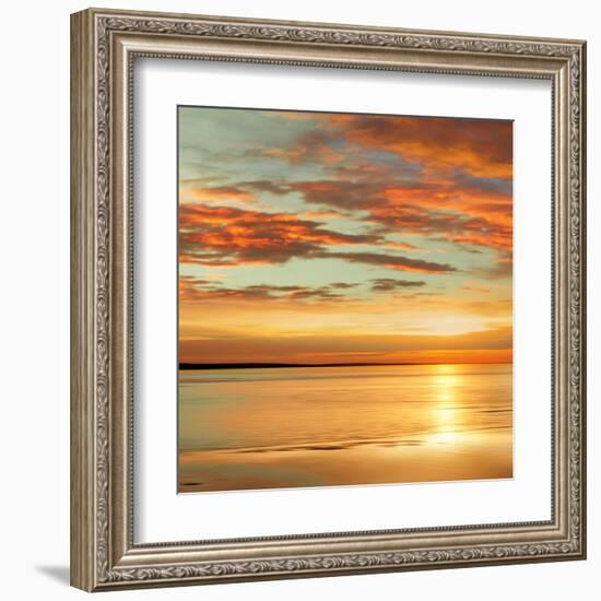 Sunlit I-John Seba-Framed Art Print