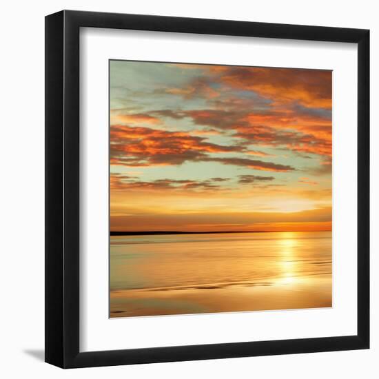 Sunlit I-John Seba-Framed Art Print