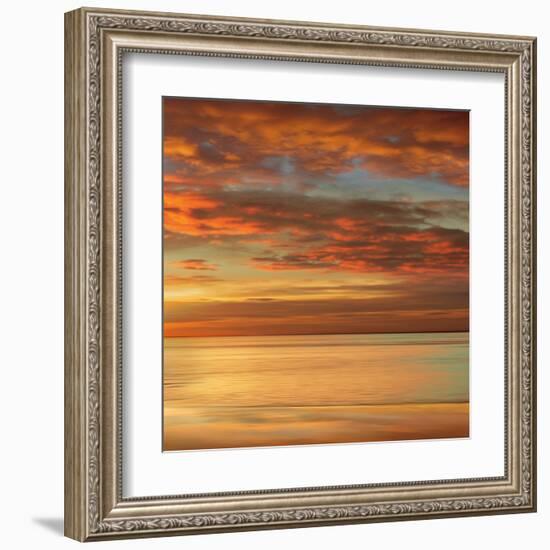 Sunlit II-John Seba-Framed Art Print