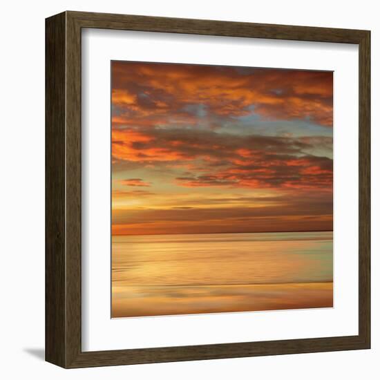 Sunlit II-John Seba-Framed Art Print