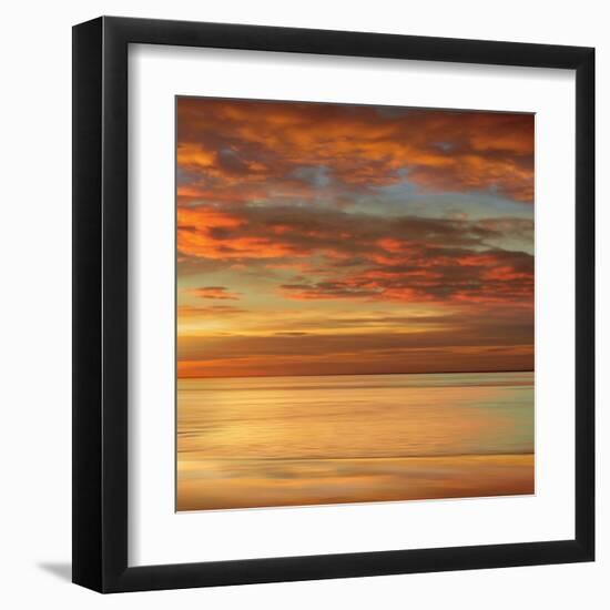 Sunlit II-John Seba-Framed Art Print