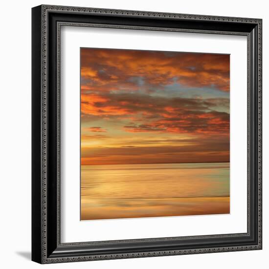 Sunlit II-John Seba-Framed Art Print