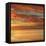 Sunlit II-John Seba-Framed Stretched Canvas