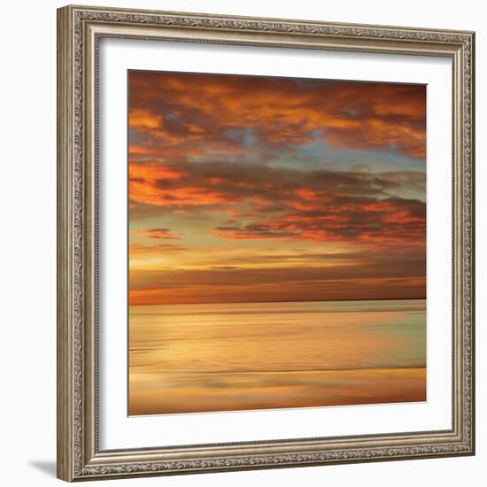 Sunlit II-John Seba-Framed Premium Giclee Print