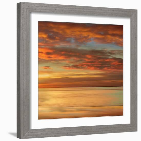 Sunlit II-John Seba-Framed Premium Giclee Print