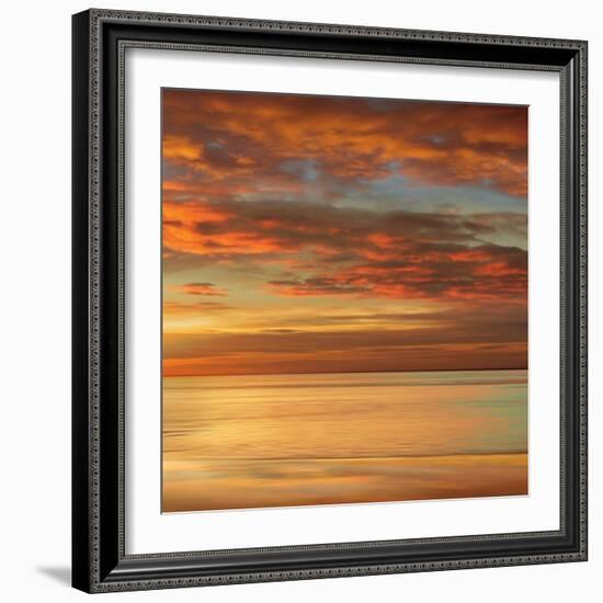 Sunlit II-John Seba-Framed Premium Giclee Print