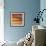 Sunlit II-John Seba-Framed Art Print displayed on a wall