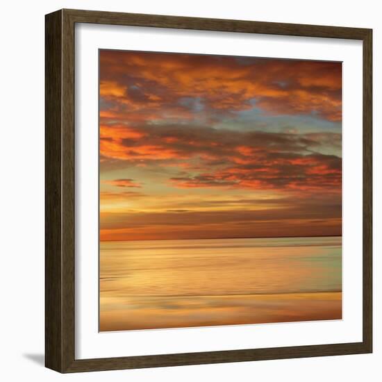 Sunlit II-John Seba-Framed Art Print