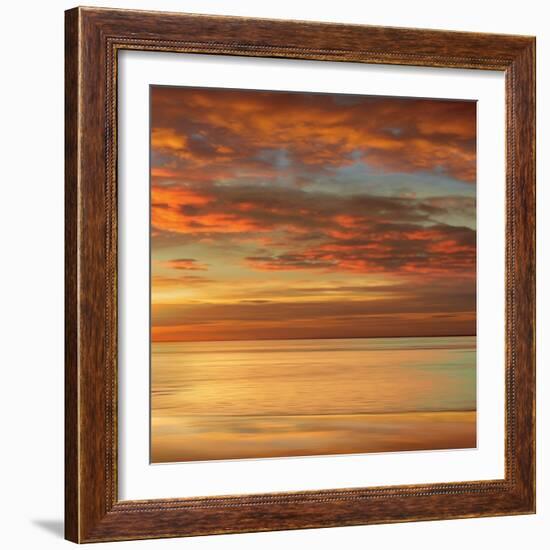 Sunlit II-John Seba-Framed Art Print