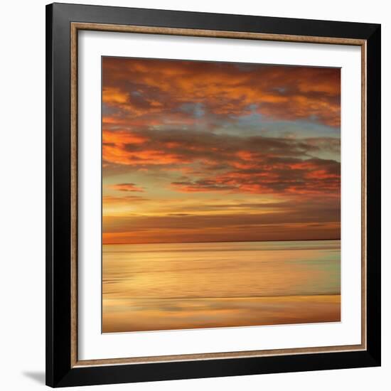 Sunlit II-John Seba-Framed Art Print