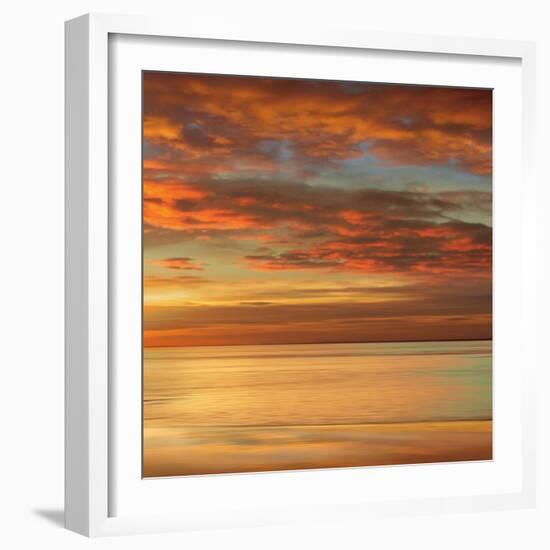 Sunlit II-John Seba-Framed Art Print