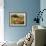 Sunlit Meadow-Mary Dipnall-Framed Giclee Print displayed on a wall