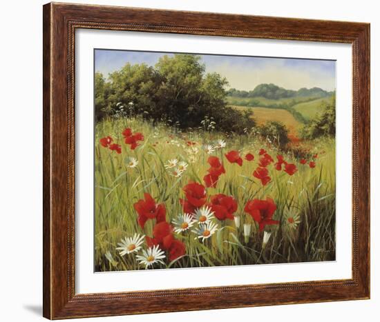 Sunlit Meadow-Mary Dipnall-Framed Giclee Print