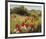 Sunlit Meadow-Mary Dipnall-Framed Giclee Print